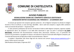 avviso pubblico - Comune di Castelcivita
