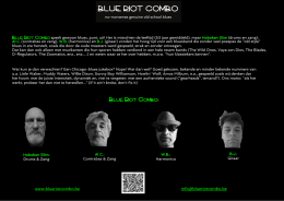 Blue Riot Combo Official Website