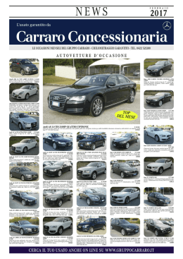 Autovetture - Gruppo Carraro