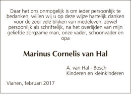 Marinus Cornelis van Hal
