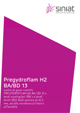 Pregydroflam H2 BA/BD 13