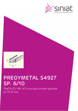 Profilo S4927 BS ST (Peso 106.81 KB) Scarica