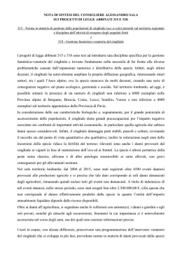 Relazione Sala - Anci Lombardia