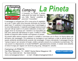 Camping La Pineta - Campeggio Club Varese