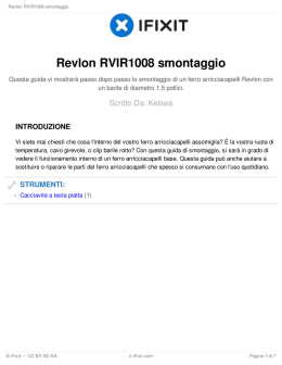 Revlon RVIR1008 smontaggio