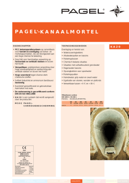 pagel®-kanaalmortel