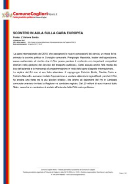 Comune Cagliari News - Scontro in Aula sulla gara europea