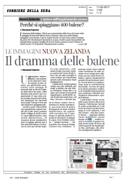 1 / 2 11-02-2017 1+25