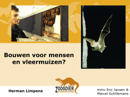 Herman Limpens - De Zoogdiervereniging