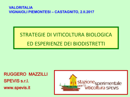 Diapositiva 1 - Vignaioli Piemontesi