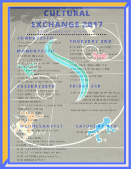 cultural exchange 2017
