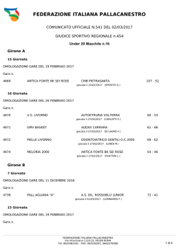 federazione italiana pallacanestro