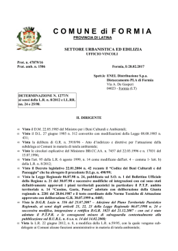 Det.art. 146_Enel x TelecomRioFresco - Formia