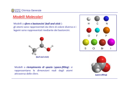 Modelli Molecolari