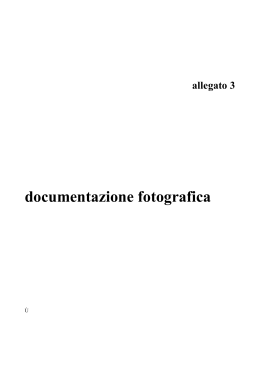 Immagine_pdf (pdf 2852 kB)