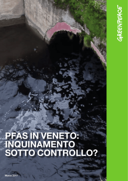 Pfas in Veneto: inquinamento sotto controllo?