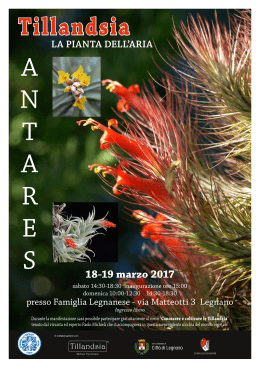 18-19 marzo 2017 - Antares Legnano