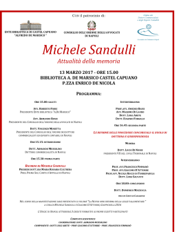Michele Sandulli - Associazione Nazionale Avvocati Italiani