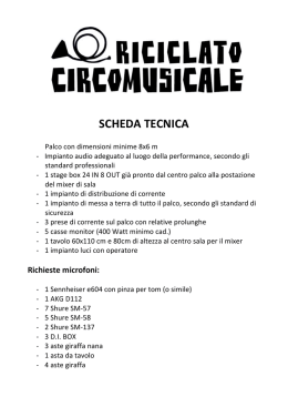 scheda tecnica - Riciclato Circo Musicale