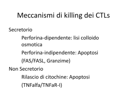 Meccanismi di killing dei CTLs